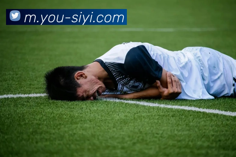 mk体育官网中国官方网平台生态图