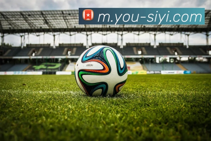 mk体育官网中国官方网APP 封面图